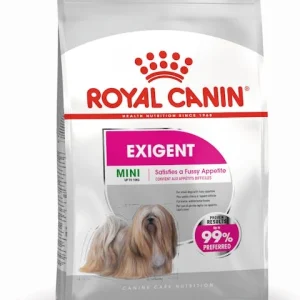 اگزیجنت مدل Mini Exigent