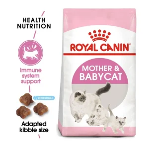 گربه رویال کنین اصل مدل Mother & Baby