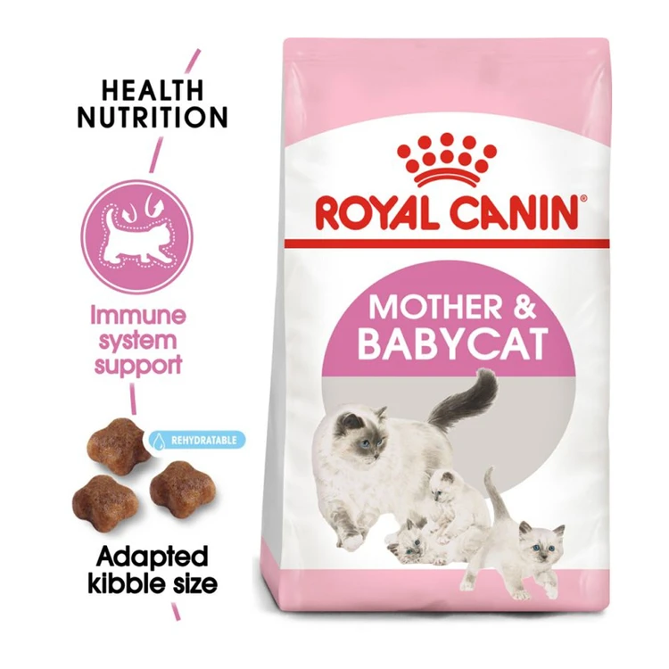 گربه رویال کنین اصل مدل Mother & Baby
