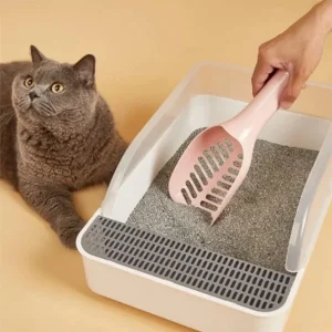 بیلچه خاک گربه مدل کارد